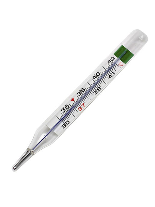 Термометр Меридиан ртутный с футляром №1