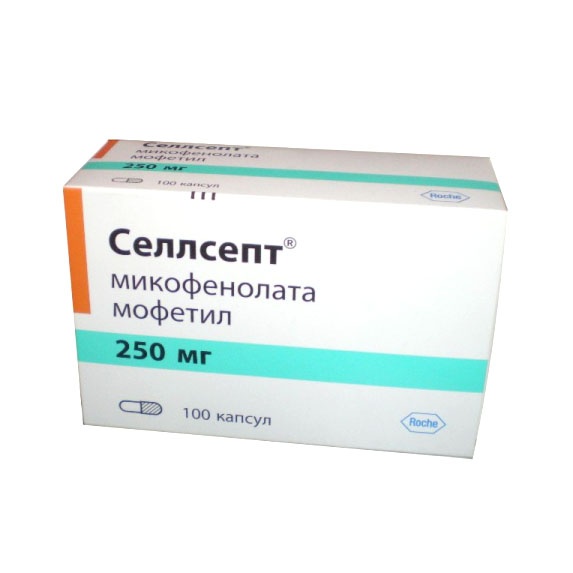 Селлсепт капс. 250мг №100