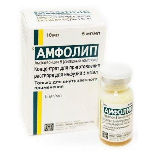 Амфолип конц. д/приг. р-ра д/инф. 5мг/мл фл. 10мл №1