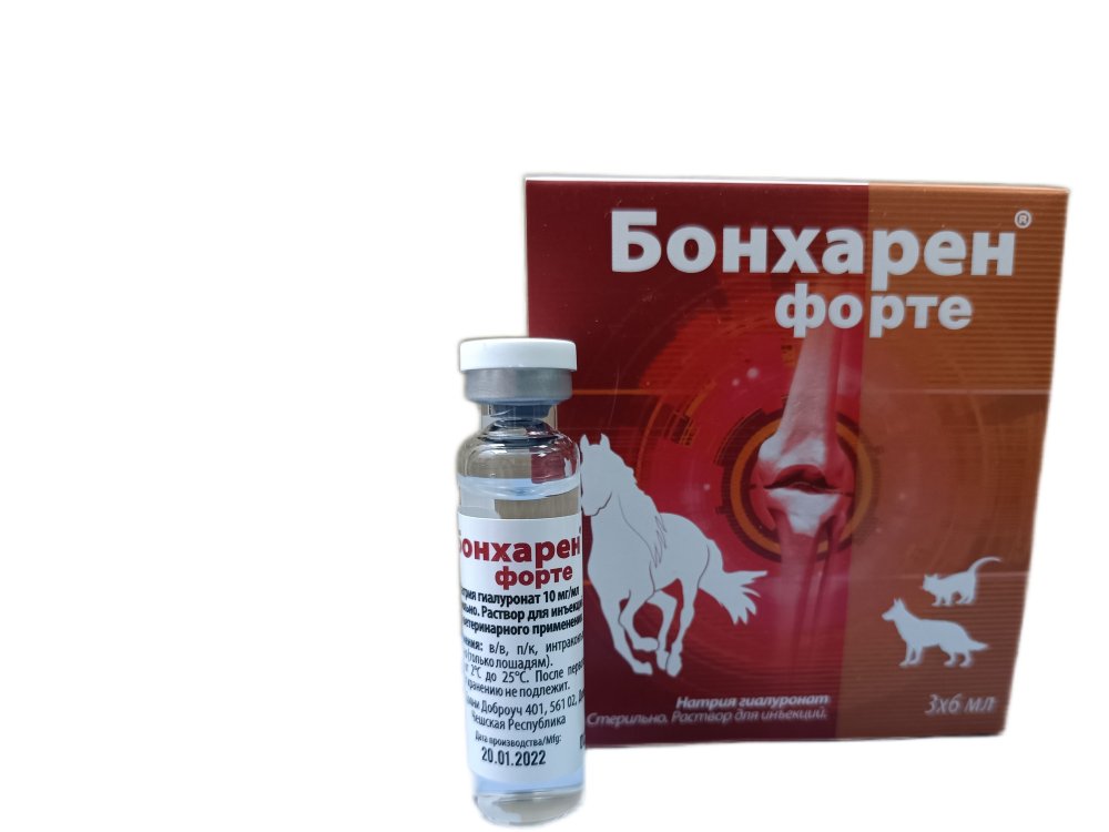 Бонхарен форте р-р д/инъек. 10мг/мл амп. 6мл
