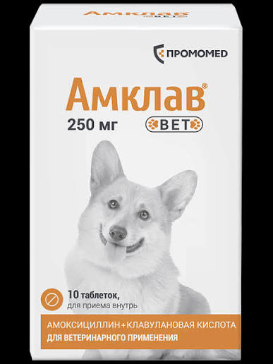 Амклав Вет таб. 250мг №10 (банка)