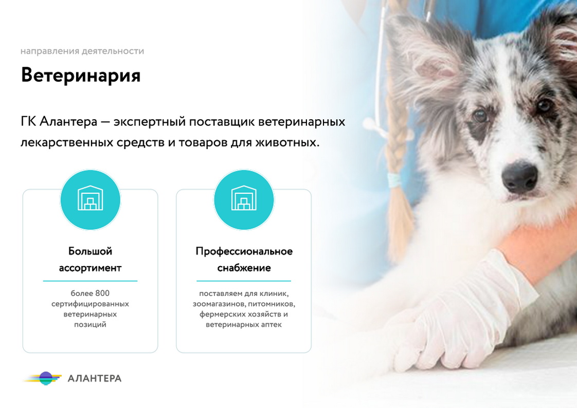 Интернет-магазин медикаментов